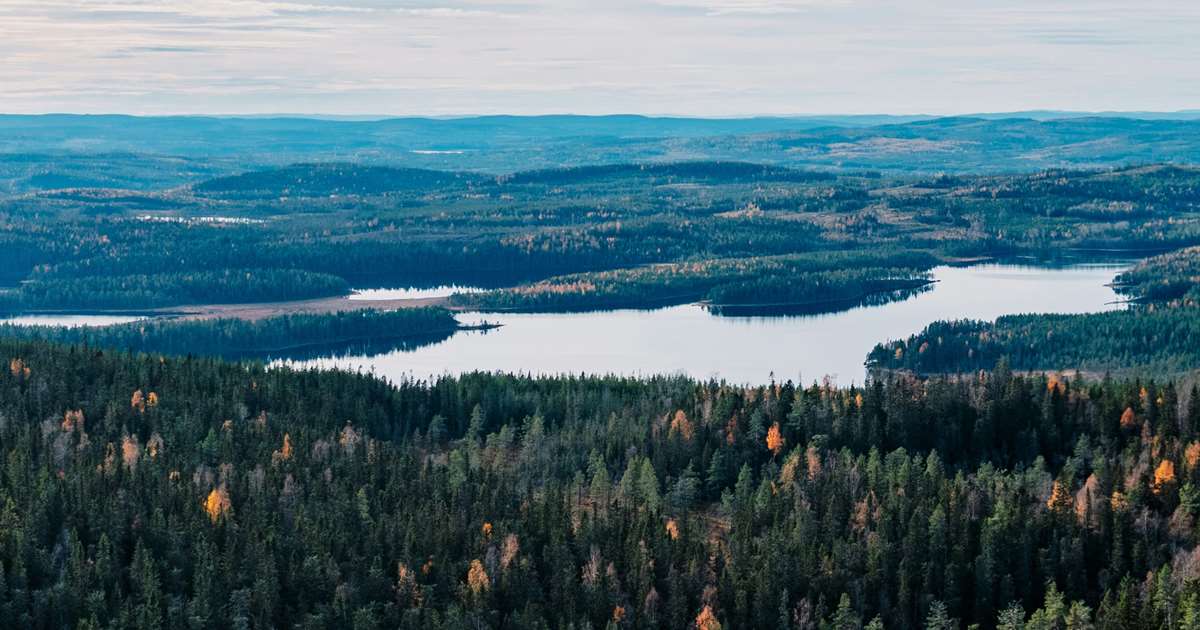 Down to Earth | Nordic Sustainable Construction